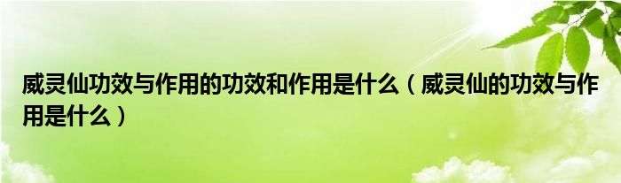 威灵仙功效与作用的功效和作用是什么（威灵仙的功效与作用是什么）