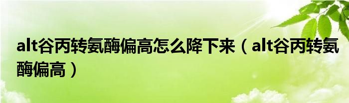 alt谷丙转氨酶偏高怎么降下来（alt谷丙转氨酶偏高）