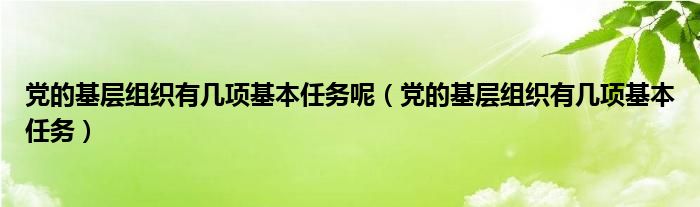 党的基层组织有几项基本任务呢（党的基层组织有几项基本任务）