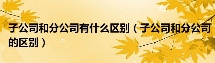 子公司和分公司有什么区别（子公司和分公司的区别）