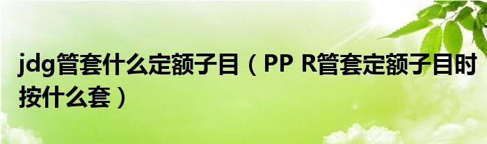 jdg管套什么定额子目（PP R管套定额子目时按什么套）