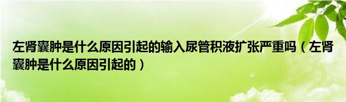 左肾囊肿是什么原因引起的输入尿管积液扩张严重吗（左肾囊肿是什么原因引起的）