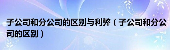 子公司和分公司的区别与利弊（子公司和分公司的区别）