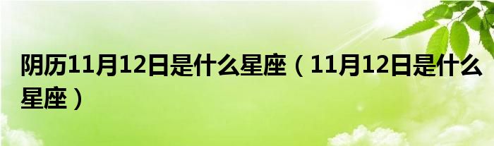 阴历11月12日是什么星座（11月12日是什么星座）