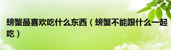 螃蟹最喜欢吃什么东西（螃蟹不能跟什么一起吃）