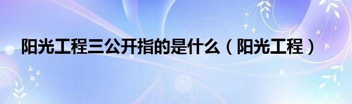 阳光工程三公开指的是什么（阳光工程）