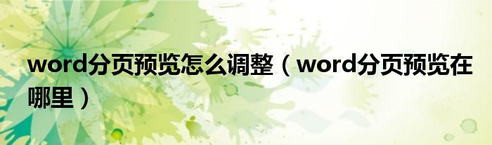 word分页预览怎么调整（word分页预览在哪里）