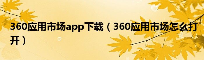 360应用市场app下载（360应用市场怎么打开）