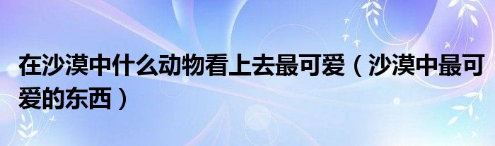 在沙漠中什么动物看上去最可爱（沙漠中最可爱的东西）