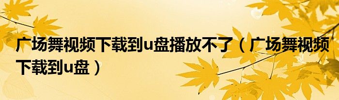 广场舞视频下载到u盘播放不了（广场舞视频下载到u盘）