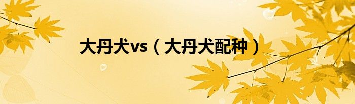 大丹犬vs（大丹犬配种）