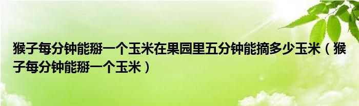 猴子每分钟能掰一个玉米在果园里五分钟能摘多少玉米（猴子每分钟能掰一个玉米）