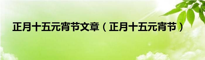 正月十五元宵节文章（正月十五元宵节）