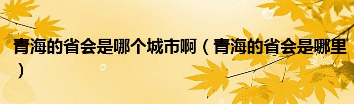 青海的省会是哪个城市啊（青海的省会是哪里）