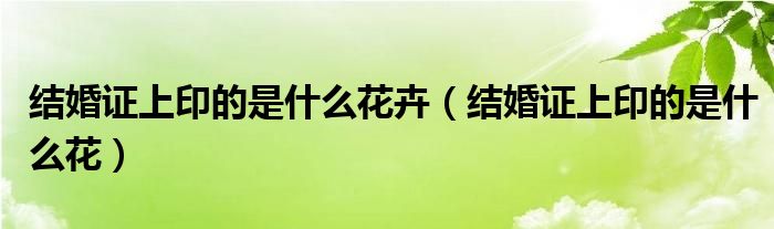 结婚证上印的是什么花卉（结婚证上印的是什么花）