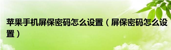 苹果手机屏保密码怎么设置（屏保密码怎么设置）