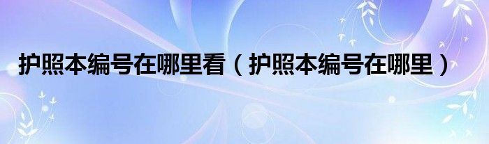 护照本编号在哪里看（护照本编号在哪里）