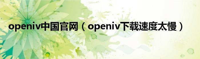 openiv中国官网（openiv下载速度太慢）