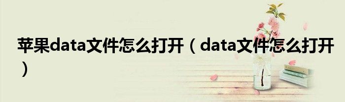 苹果data文件怎么打开（data文件怎么打开）