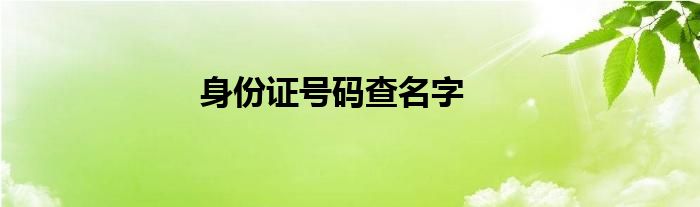 身份证号码查名字