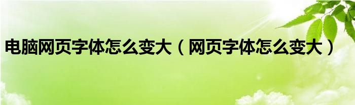 电脑网页字体怎么变大（网页字体怎么变大）