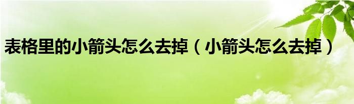 表格里的小箭头怎么去掉（小箭头怎么去掉）