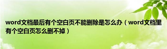 word文档最后有个空白页不能删除是怎么办（word文档里有个空白页怎么删不掉）