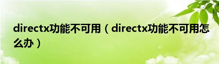 directx功能不可用（directx功能不可用怎么办）