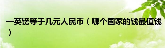 一英镑等于几元人民币（哪个国家的钱最值钱）