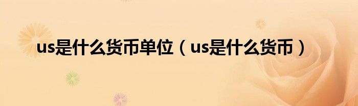 us是什么货币单位（us是什么货币）