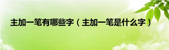 主加一笔有哪些字（主加一笔是什么字）