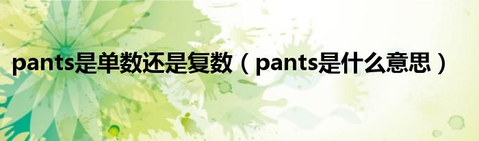 pants是单数还是复数（pants是什么意思）