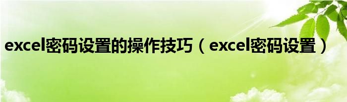 excel密码设置的操作技巧（excel密码设置）