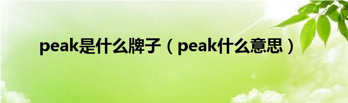 peak是什么牌子（peak什么意思）