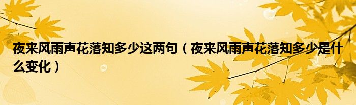 夜来风雨声花落知多少这两句（夜来风雨声花落知多少是什么变化）