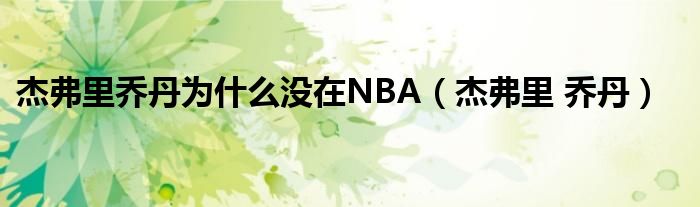 杰弗里乔丹为什么没在NBA（杰弗里 乔丹）