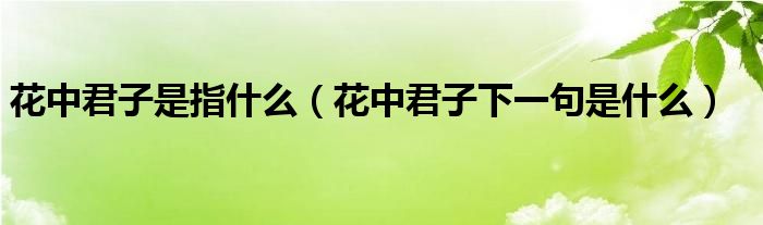 花中君子是指什么（花中君子下一句是什么）