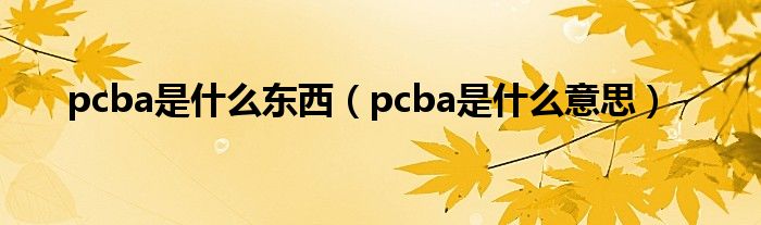 pcba是什么东西（pcba是什么意思）