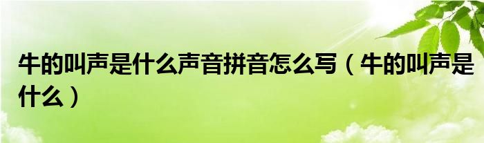 牛的叫声是什么声音拼音怎么写（牛的叫声是什么）