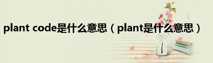 plant code是什么意思（plant是什么意思）