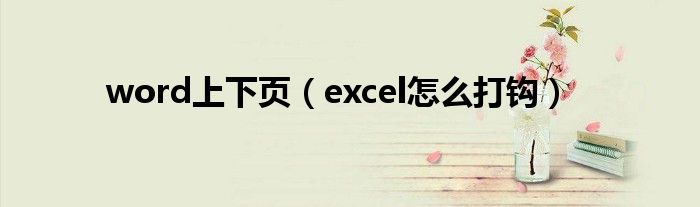 word上下页（excel怎么打钩）