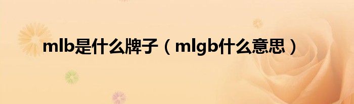 mlb是什么牌子（mlgb什么意思）