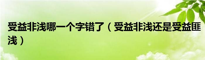 受益非浅哪一个字错了（受益非浅还是受益匪浅）