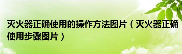 灭火器正确使用的操作方法图片（灭火器正确使用步骤图片）