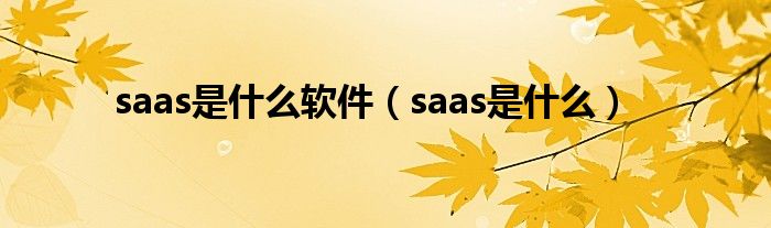 saas是什么软件（saas是什么）