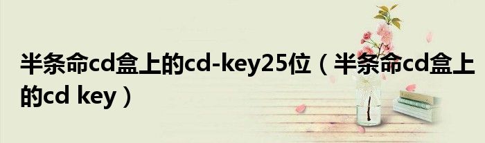 半条命cd盒上的cd-key25位（半条命cd盒上的cd key）