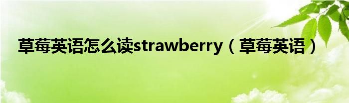 草莓英语怎么读strawberry（草莓英语）