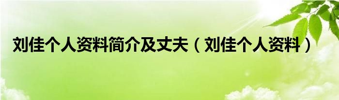 刘佳个人资料简介及丈夫（刘佳个人资料）