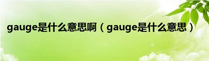 gauge是什么意思啊（gauge是什么意思）