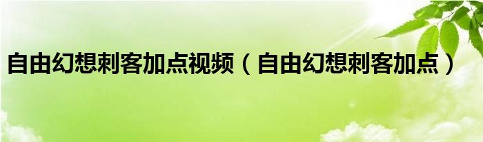 自由幻想刺客加点视频（自由幻想刺客加点）